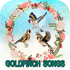 GOLDFINCH SONGS APK