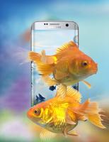 Gold Fish on Phone 截圖 3
