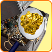 gold silver & metal detectors APK