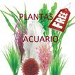 Plantas Acuario Free