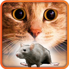 آیکون‌ Games for Cat mouse on screen