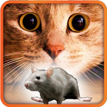 Games for Cat mouse on screen