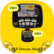 PRO Gold and metals detector 2018