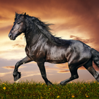 Horses Jigsaw Puzzle Game آئیکن