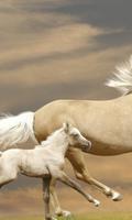 Horses Jigsaw Puzzle Game Poster