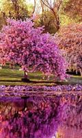 Spring Puzzle Jigsaw Game-poster