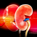 Apps en Urología APK