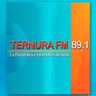 Ternura FM 89.1 icône