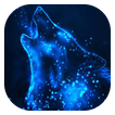 Starry wolf live wallpaper