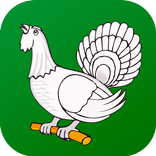 Верхний Уфалей