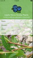 Useful Nova Scotia Plants Affiche