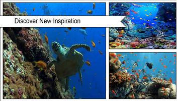 3D Sea Fish Wallpaper HD capture d'écran 1