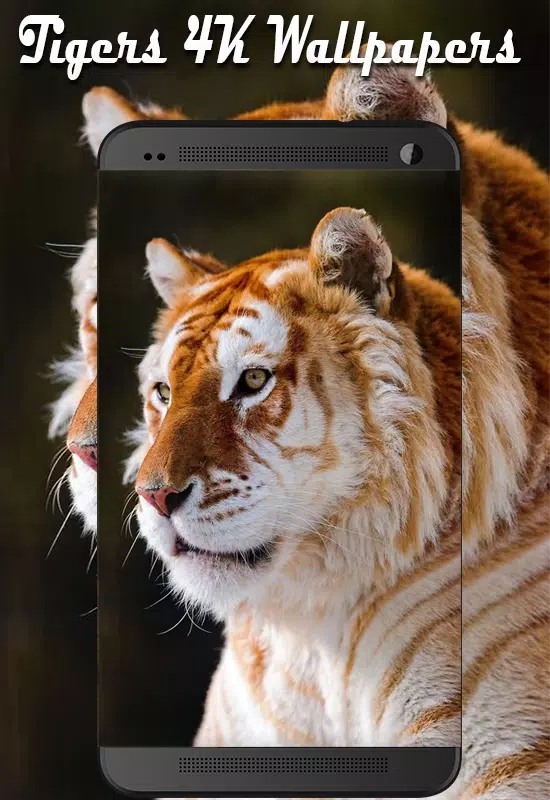 Tải xuống APK Wallpaper Tiger New 4K Background | HD Image cho Android Tải xuống APK Wallpaper Tiger New 4K Background | HD Image cho Android