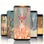 Wallpaper Deer New HD Beauty Image|Free Background icône