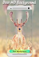 Wallpaper Deer New HD Beauty Image|Free Background Affiche