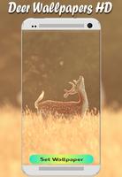 Wallpaper Deer New HD Beauty Image|Free Background capture d'écran 2