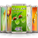 APK Wallpapers Ladybug 4K Backgrounds|HD Beauty Image