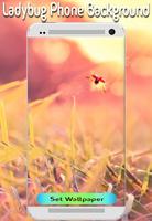 Wallpapers Ladybug 4K Backgrounds|HD Beauty Image Affiche