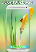 Wallpapers Ladybug 4K Backgrounds|HD Beauty Image capture d'écran 1