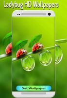 Wallpapers Ladybug 4K Backgrounds|HD Beauty Image capture d'écran 2