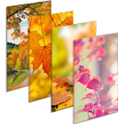 Autumn New Wallpaper|Beautiful 4K Background icône