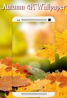 Autumn New Wallpaper|Beautiful 4K Background capture d'écran 1