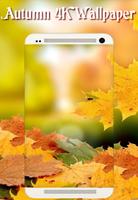 Autumn New Wallpaper|Beautiful 4K Background screenshot 1