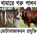 গরু পালনের সঠিক পদ্ধতি aplikacja