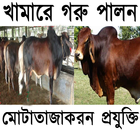 গরু পালনের সঠিক পদ্ধতি ikona