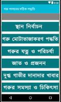 গরু পালনের সঠিক পদ্ধতি plakat