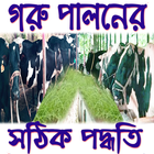 গরু পালনের সঠিক পদ্ধতি (Goru Palon) 圖標