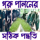 গরু পালনের সঠিক পদ্ধতি (Goru Palon) APK