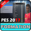 Formation Pes 2017