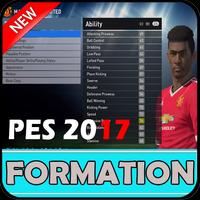 Formation Pes 2017 plakat