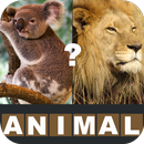 APK Animal Quiz- Guess the animals