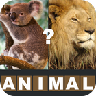 Animal Quiz- Guess the animals icône