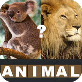 Animal Quiz - 猜動物 圖標