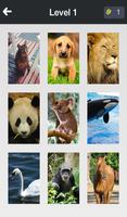 Animal Quiz- Guess the animals Affiche