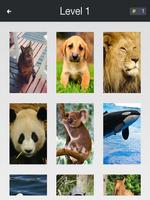 Animal Quiz- Guess the animals screenshot 2