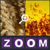 Zoom Quiz - Guess the picture! APK