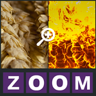 Zoom Quiz - Guess the picture! icon