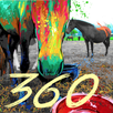 Canvas 360 APK