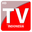 All Channel TV Indonesia HD