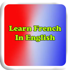 Learn French Language Offline ícone