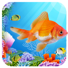 aquarium poisson vivre fond d'écran hd koi étang icône