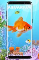 aquarium poisson vivre fond d'écran hd koi étang Affiche
