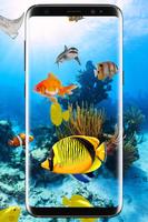 Aquarium Fish Live Wallpaper HD: Koi Pond 2018 3D 스크린샷 2