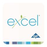 Georgia-Pacific Excel icône