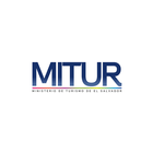 Mitur Online icône
