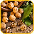 Walnuts HD LWP